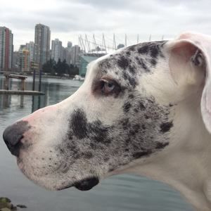 Meet your Posher, Lo